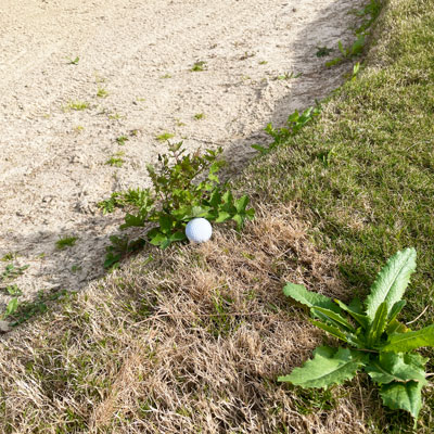 Auch schwierige Lagen wollen trainiert werden